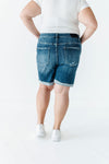 Holden Distressed Shorts