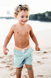  Shoreline Stripe Board Short